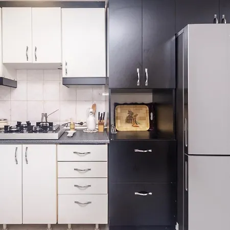Comfy Flat With Location In Besiktas Apartment