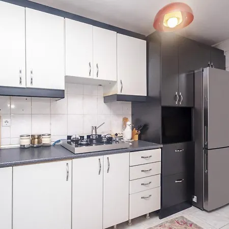 Comfy Flat With Location In Besiktas *